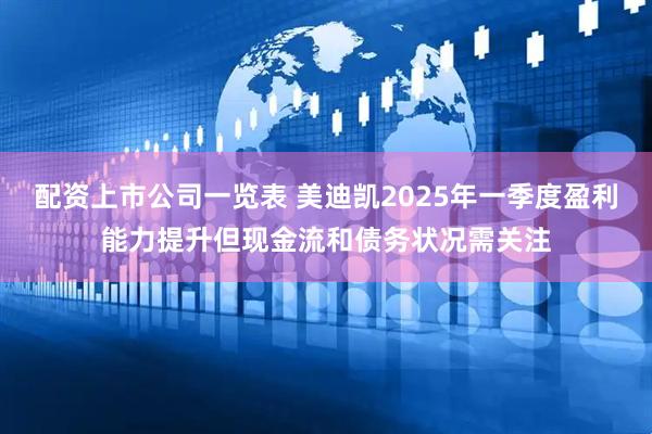 配资上市公司一览表 美迪凯2025年一季度盈利能力提升但现金流和债务状况需关注