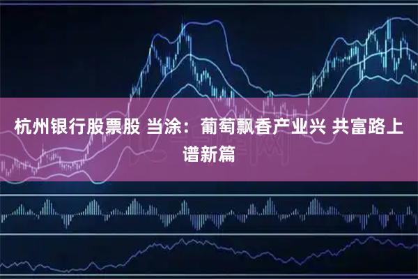 杭州银行股票股 当涂：葡萄飘香产业兴 共富路上谱新篇